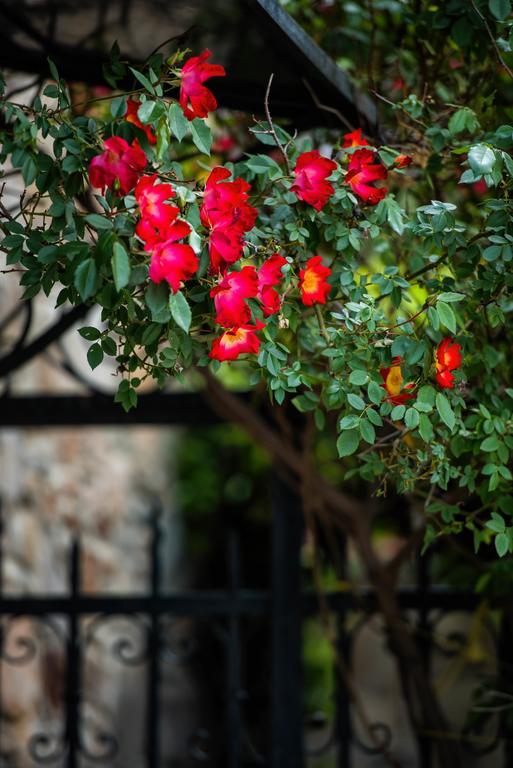 Sithonia Mulberry House 빌라 외부 사진